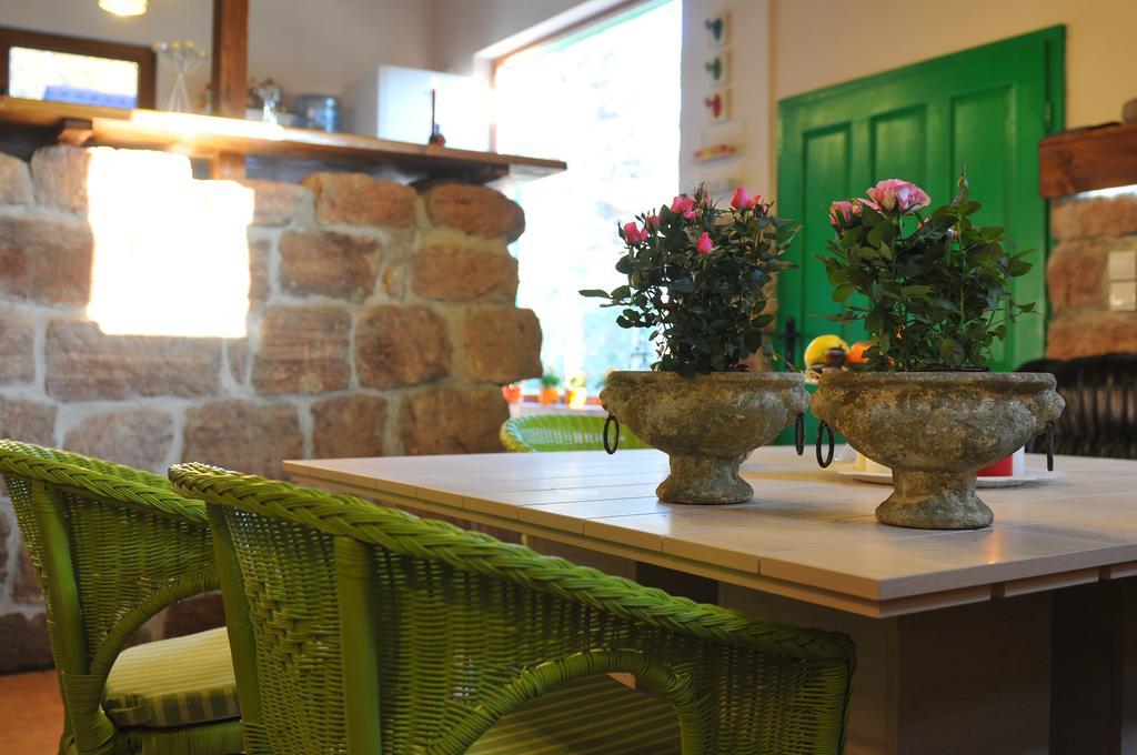 Villa Kada Belogradçik Dış mekan fotoğraf